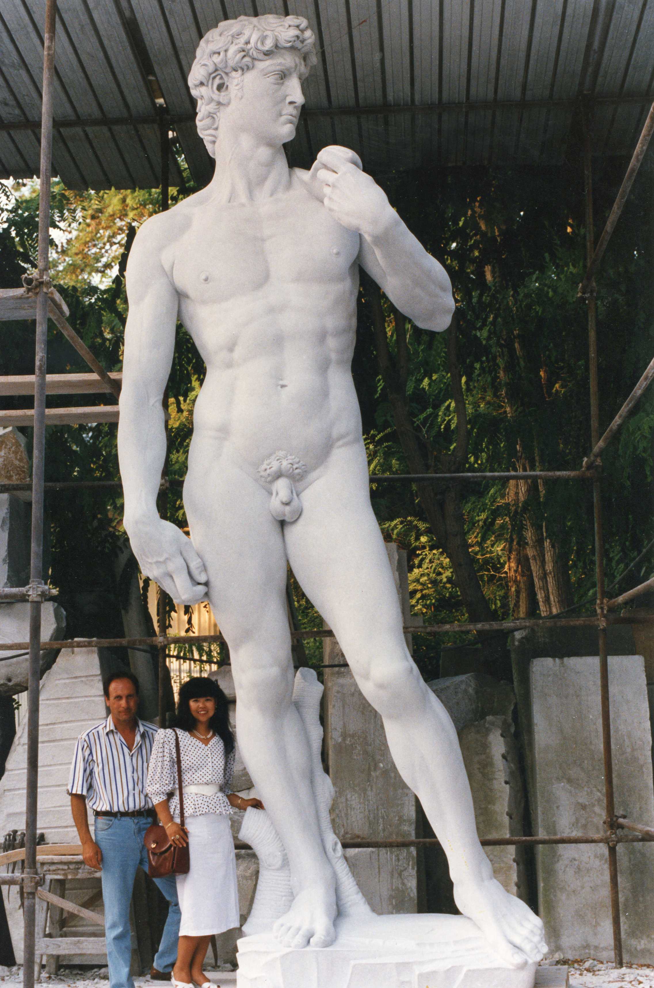 David di Michelangelo h. 515 cm 